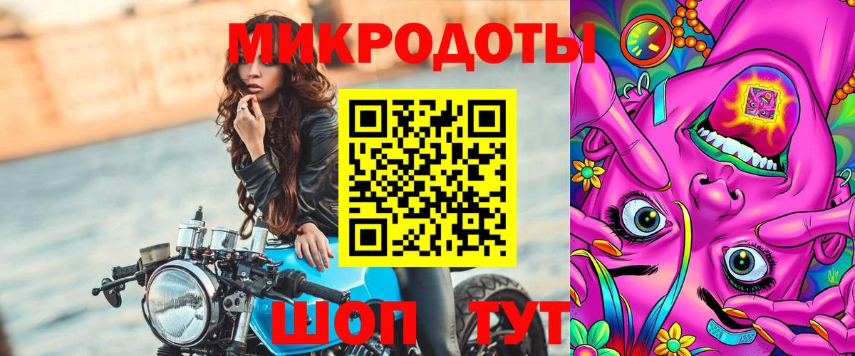 Псилоцибиновые грибы Psilocybine cubensis Алексеевка