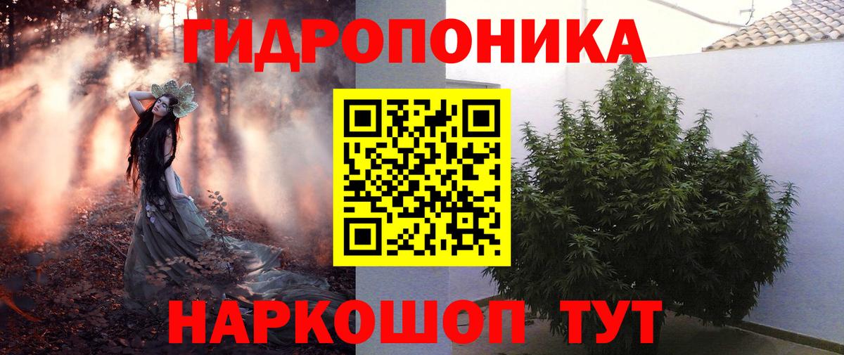 Марихуана OG Kush Алексеевка
